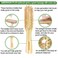 Bamboo Hair Brush with Cleaning Tool Set For Women Men, Bamboo Bristle Wood Paddle Detangling Brush Helps Hair Growth, Enhance Shine &amp; Health, Massaging Scalp