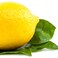 Earth To Skin Super Foods Lemon + Basil Hand &amp; Body Creme Gel (8.0 Fl Oz)