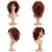 Afro Wigs for Blakc Women Synthetic Curly Wig Glueless Wigs for Daily Use (Brown)