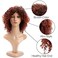 Afro Wigs for Blakc Women Synthetic Curly Wig Glueless Wigs for Daily Use (Brown)
