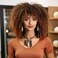 Afro Wigs for Blakc Women Synthetic Curly Wig Glueless Wigs for Daily Use (Brown)