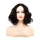 Sallcks Short Curly Black Wig for Women Soft Synthetic Heat Resistant Hair Replacement Full Wigs for Daily Party Halloween