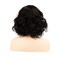 Sallcks Short Curly Black Wig for Women Soft Synthetic Heat Resistant Hair Replacement Full Wigs for Daily Party Halloween
