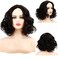 Sallcks Short Curly Black Wig for Women Soft Synthetic Heat Resistant Hair Replacement Full Wigs for Daily Party Halloween
