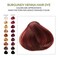 3 Packs Of Burgundy Henna Hair &amp; Beard Color/Dye 100 Grams - Natural Hair Color, Plant-based Hair Dye - The Henna Guys