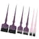 Segbeauty 6pcs Professional Hairdressing Brush Set - Tinting Brushes, Color Applicator Brushes for Hair Dyeing, Balayage, and Styling