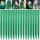16 Pcs Straight One Color Party Highlights Clip on in Hair Extensions Colored Hair Streak Synthetic Hairpieces Green Hair Accessories Gifts for Girls Women (Green)
