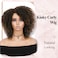 Short Kinky Curly Wigs Ombre Brown Side Part Wig Afro Curly Wig Twist Out Wigs Heat Resistant Fiber Synthetic Full Wigs for Black Women (1B 30#)