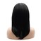 Lushy Hair Synthetic Lace Front Wig Straight Medium Length 14inch Black Wig Heavy Density Heat Resistant Realistic Wig