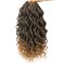 Goddess Box Braids Crochet Braids Hair with Full Curly Braids Synthetic Premium Fiber Braiding Hair 14 Inch 5Packs/Lot T27#