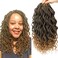 Goddess Box Braids Crochet Braids Hair with Full Curly Braids Synthetic Premium Fiber Braiding Hair 14 Inch 5Packs/Lot T27#