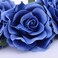Rose Flower Crown Fake Flower Crowns Headbands For Women Girl Rose Floral Head Piece Hair Crown Pet Headband Flower Wreath (Blue)