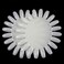 10PCS White Acrylic Wheel False Nail Art Tips Practice Display for Nail Art Tool