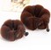 Set of 2 Brown Magic Hair Styling Styler Hot Hair Donut Bun Ring Styler Maker for Women Lady Girls (1 large+1 small)