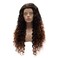 Lushy Kinky Curly Long 26inch Dark Root Auburn Ombre Wig Heavy Density Realistic Synthetic Lace Front Wig