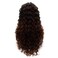 Lushy Kinky Curly Long 26inch Dark Root Auburn Ombre Wig Heavy Density Realistic Synthetic Lace Front Wig