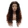 Lushy Kinky Curly Long 26inch Dark Root Auburn Ombre Wig Heavy Density Realistic Synthetic Lace Front Wig