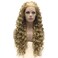 Lushy Hair Long Kinky Curly Ash Blond Wig Half Hand Tied Heat Friendly Synthetic Lace Front Wig