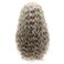 Lushy Long Curly Light Grey Wig Heavy Density Half Hand Tied Heat Resistant Synthetic Lace Front Wig