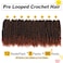 Passion Twist Hair 10 Inch 8 Packs, Pre Twisted Passion Twist Crochet Hair For Black Women, Pre Looped Passion Twist Curly Crochet Hair, Short Crochet Passion Twist Hair Extensions (10 Inch, T350#)