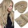Sunny Hair Clip in Hair Extensions Straight Human Hair Clip in Extensions Remy Clip in Hair Extensions Real Human Hair Extensions Clip ins Golden Blonde Highlights Light Blonde 16inch