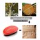 360 Curved Wave Brush - Medium Hard Palm Brush with Beech Wood and Boar Bristles for Men's Hair Styling and Beard Grooming (Red)