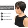 Higlight Blonde Color Pixie Cut Straight Wig Human Hair 150% Density Glueless Wigs Short Hair 1b/27 Color Short Layered Pixie Human Hair Straight Wigs Wear And Go Full Machine Made(Higlight Blonde)