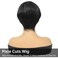 Higlight Blonde Color Pixie Cut Straight Wig Human Hair 150% Density Glueless Wigs Short Hair 1b/27 Color Short Layered Pixie Human Hair Straight Wigs Wear And Go Full Machine Made(Higlight Blonde)