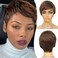Pixie Cut Wig Human Hair Chocolate Brown Short Human Hair Wigs for Women Short Straight Hair Wigs with Bangs for Black Women Full Machine Made Wigs Brown Short Hair Glueless Wigs Human Hair (4#)
