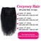 3C 4A Kinky Curly Clip in Hair Extensions Human Hair for Black Women - 8Pcs 18Clips Double Weft Brazilian Remy Human Hair Thick to Ends 120G/4.2oz Natural Black (22 inch)