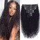 3C 4A Kinky Curly Clip in Hair Extensions Human Hair for Black Women - 8Pcs 18Clips Double Weft Brazilian Remy Human Hair Thick to Ends 120G/4.2oz Natural Black (22 inch)