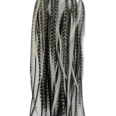 Feather Hair Extension &ndash; Seven Genuine Black and White American Rooster Feathers, bonded together, ranging from 6 to 11 inches in length, includes two silicone micro beads