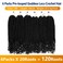 Goddess Locs Crochet Hair 6 Packs 16 Inch Straight Faux Locs Crochet Hair for Black Women, Crochet Pre-Looped Curly Hair Soft Faux Locs Synthetic Braiding Hair Extensions (16 Inch, 6 Packs, 1B#)
