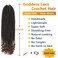 Goddess Locs Crochet Hair 6 Packs 20 Inch Straight Faux Locs Crochet Hair for Black Women, Crochet Pre-Looped Curly Hair Soft Faux Locs Synthetic Braiding Hair Extensions (20 Inch, 6 Packs, 1B-30#)