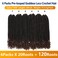 Goddess Locs Crochet Hair 6 Packs 20 Inch Straight Faux Locs Crochet Hair for Black Women, Crochet Pre-Looped Curly Hair Soft Faux Locs Synthetic Braiding Hair Extensions (20 Inch, 6 Packs, 1B-30#)