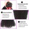 Brazilian Water Wave Bundles with Closure (12 14 16+10) 100% Unprocessed Nutural Wave 3 Bundles with Closure 4x4 Free Part Wet and Wavy Curly Wave Hair Extensions