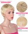 Rebecca Fashion Blonde Pixie Cut Wigs for Black Women Short Straight Human Hair Wigs 100% Brazilian Remy Hair