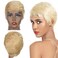 Rebecca Fashion Blonde Pixie Cut Wigs for Black Women Short Straight Human Hair Wigs 100% Brazilian Remy Hair