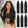 22Inch Ocean Wave 6Pack Crochet hair Extexsions Long Braids Deep wave Synthetic hair Curly Braiding hair for Black Women (22Inch (Pack of 6), Black)