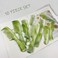 10 Pcs Hair Combs, Comb Set, Hair Combs for Women and Men, Coarse, Fine Dressing Comb