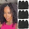 8 Inch Short Passion Twist Hair 9 Bundles Kinky Curly Crochet Hair Nature Black Crochet Braids Hair for Black Women(9 Bundles,1B)