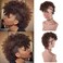 Aisaide Mohawk Ponytails for Black Women - High Puff Afro, Kinky Curly Synthetic Hair Bun with Bangs, Wrap Updo Clip in Extension