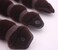 Set of 3 Magic Hair Styling Styler Hot Hair Donut Bun Ring Styler Maker (1 large+2 small) (Brown)