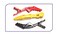 12 PCS Random Color Hair Tamer Croc Hair Styling Clips for Women and Girls