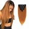 Clip in Hair Extensions Straight Hair for Women, 1B/30 Real Human Hair Double Weft Thick to Ends Clips ins Hair Extension, 1B/Brown Clip in Straight Hair Extension (18 inches)