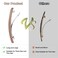 Joez Wonderful Hair Barrettes for Women, French No Slip Flat Clips, Claw Clasps for Thin Hair Styling Accessories - 6pcs