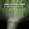 MANSPOT Manscape Trimmer for Men Ball/Pubic/Groin, Electric Body Hair Trimmer, Replaceable Ceramic Blade Heads,Waterproof for Wet/Dry Use,Standing Recharge Dock,90 Minutes Shaving After Charged(Green)