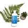 Carolyn's Facial Formulas Therapy Hair Repair Shampoo   Hair Growth   Sulfate-Free Shampoo For Hair Loss   Jojoba Oil For Hair   Made In USA   Hair Regrowth Shampoo For Men And Women