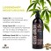 Hemp Seed Hand &amp; Body Lotion - Soothe Dry Skin - Argan Oil, Hemp Seed Oil - Light, Non-Greasy Formula - Vegan &amp; Cruelty Free