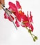 2PCS Hawaiian Orchid Flower Hair Clips Flowers Alligator Clips Hairpins Holiday Travel Wedding Decoration Hair Accessories For Women Lady Bridal (Red)